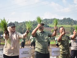 Produksi Terus Meningkat, Kuningan Tegaskan Komitmen Jadi Penyangga Utama Pangan Nasional