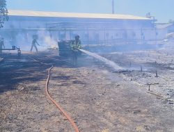 Saung Penjemuran Pabrik Kayu di Kaliaren Hangus Terbakar, Kerugian Ditaksir Capai Rp 117 Juta