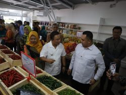 Dukung Ketahanan Pangan, Rumah Sayur PDAU Kuningan Siap Serap 20 Ton Hasil Panen Per Hari