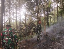 Babinsa Serka Timor Gerak Cepat Tangani Kebakaran Lahan di Desa Sayana
