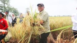 Antisipasi Kekeringan: Petani Kuningan Disarankan Beralih ke Komoditas Tahan Kering