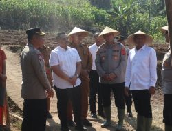 Bangun Fondasi Kemandirian Pangan, Kuningan Mulai Uji Coba Tanam Bawang Putih Bertahap