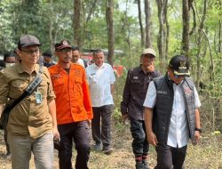 40 Hektare Hutan TNGC Terbakar, Beberapa Titik Mulai Padam Namun Belum Sepenuhnya Aman