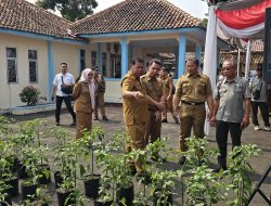 Tekan Laju Inflasi, Pemkab Majalengka Luncurkan Program Penca Perdaya, Ajak Warga Tanam Cabai di Pekarangan