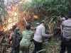 Kebakaran Hutan Melanda TNGC Pasawahan, Medan Sulit Jadi Kendala Pemadaman