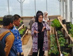 Dari Limbah Restoran Jadi Pakan dan Pupuk, Arunika Cigugur Hadirkan Solusi Sampah Bernilai Ekonomi